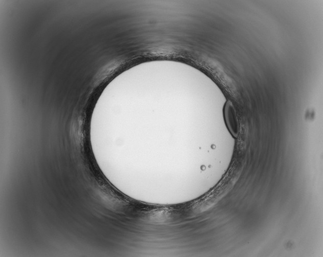 X0000103470116200810031529