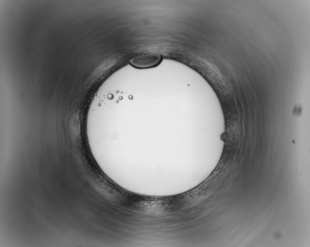 X0000103470120200810031529