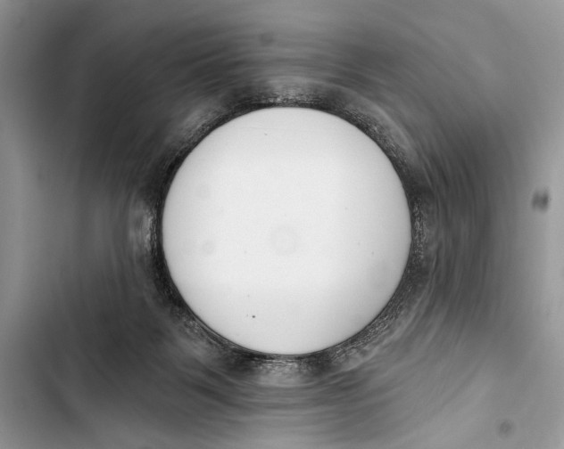 X0000103470123200810031529
