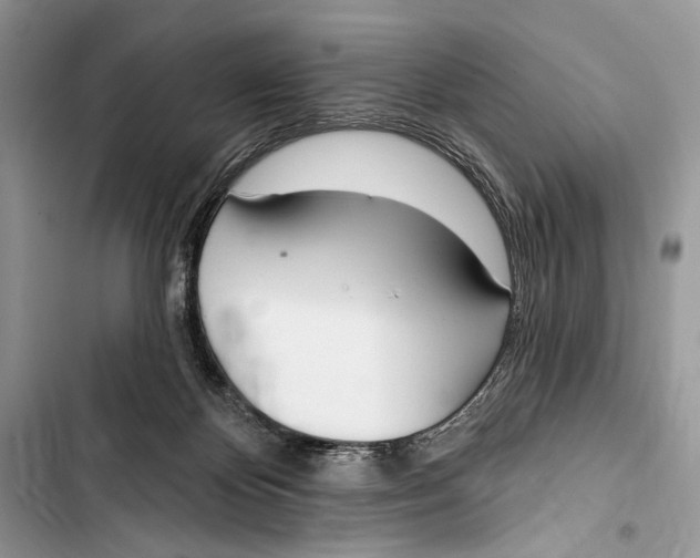 X0000103470124200810031529