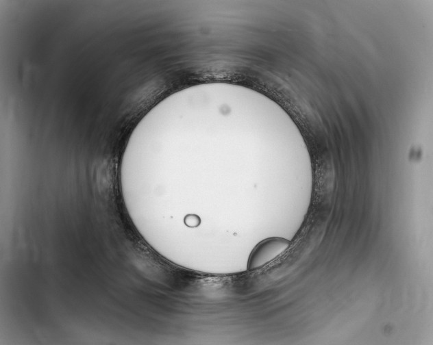 X0000103470126200810031529