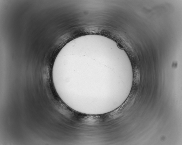 X0000103470128200810031529