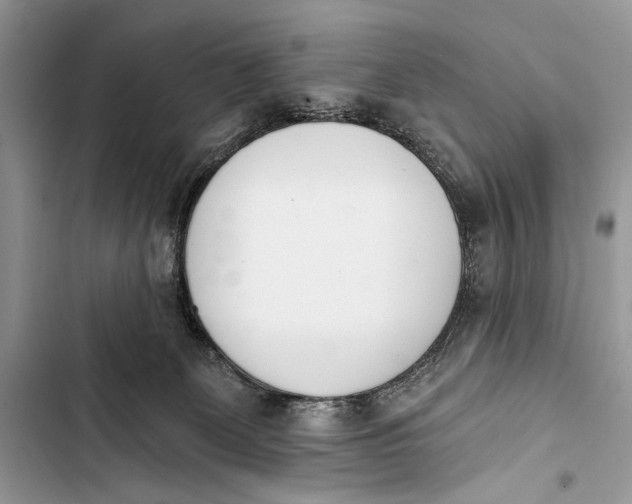 X0000103470131200810031529