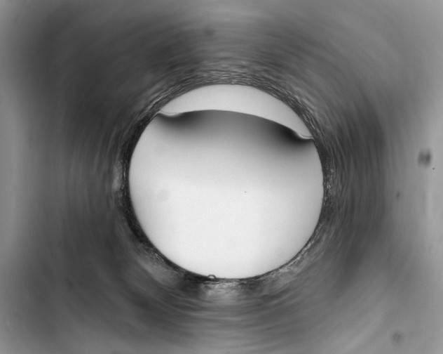X0000103470132200810031528