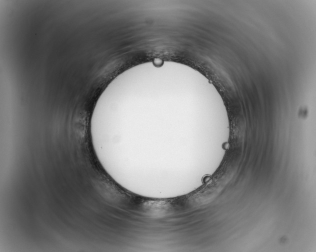 X0000103470133200810031528