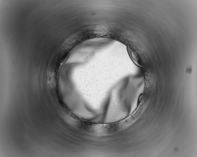 X0000103470136200810031528
