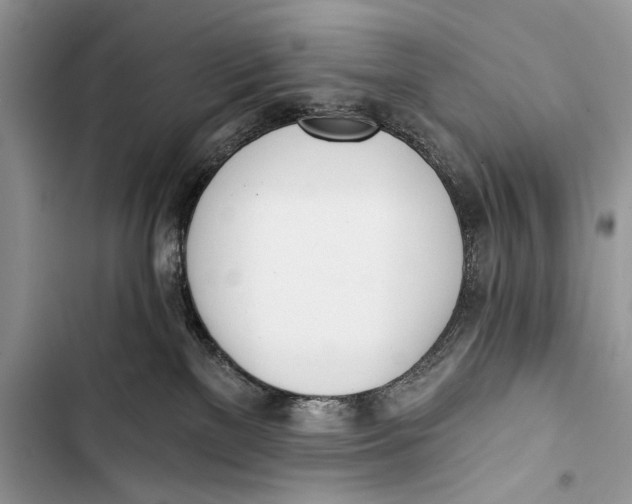 X0000103470137200810031528