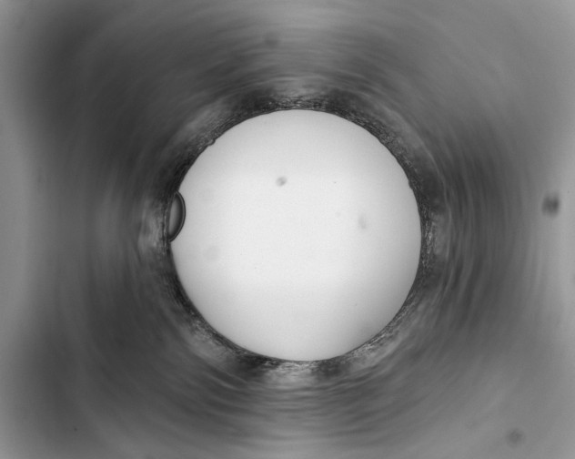 X0000103470138200810031528