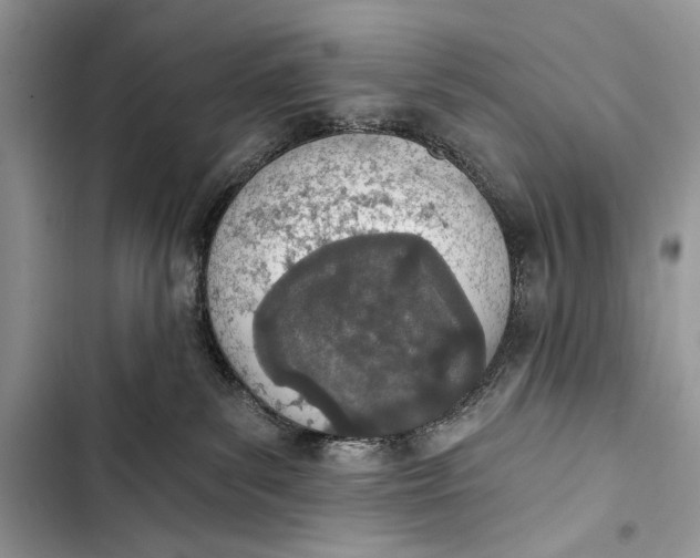 X0000103470139200810031528