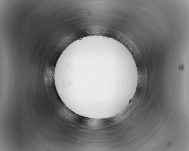 X0000103470142200810031528
