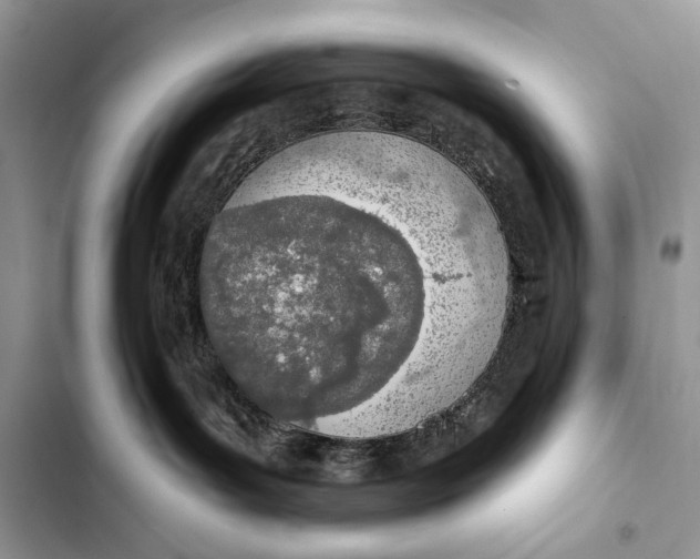 X0000103470143200810031528