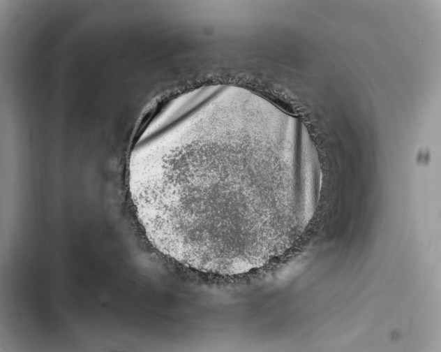 X0000103470144200810031528