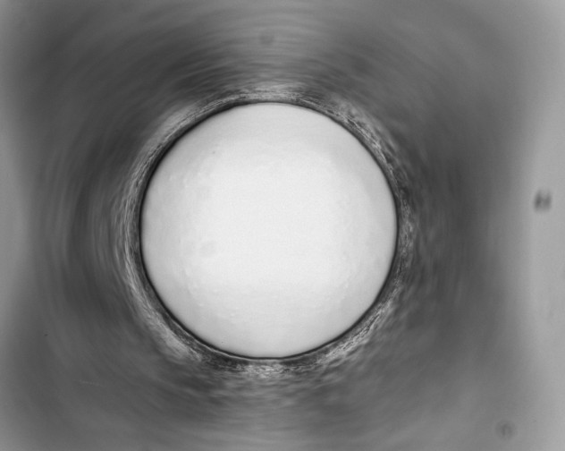 X0000103470145200810031528