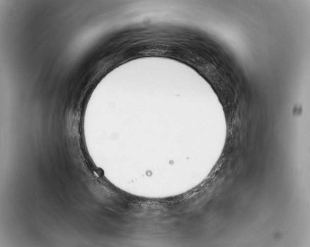 X0000103470146200810031528