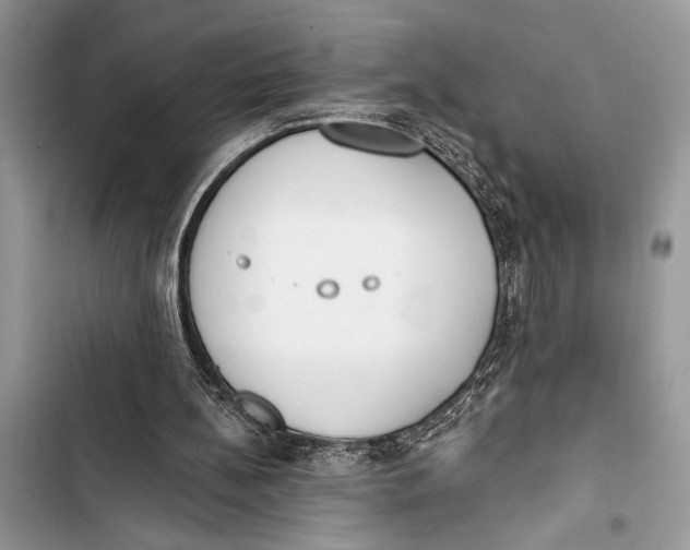 X0000103470148200810031528