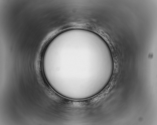 X0000103470149200810031528