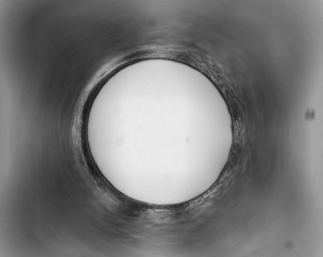 X0000103470150200810031528