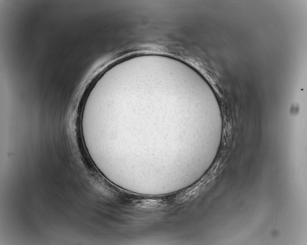 X0000103470151200810031528