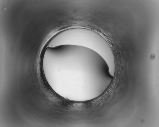 X0000103470152200810031528