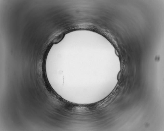 X0000103470154200810031528