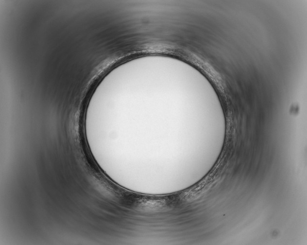 X0000103470155200810031528