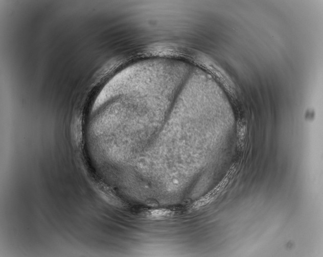 X0000103470158200810031528