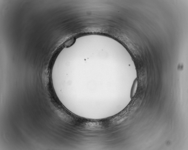 X0000103470160200810031528