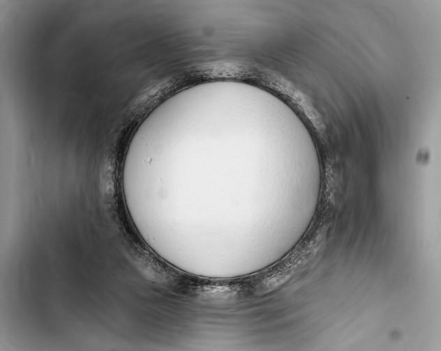 X0000103470161200810031528