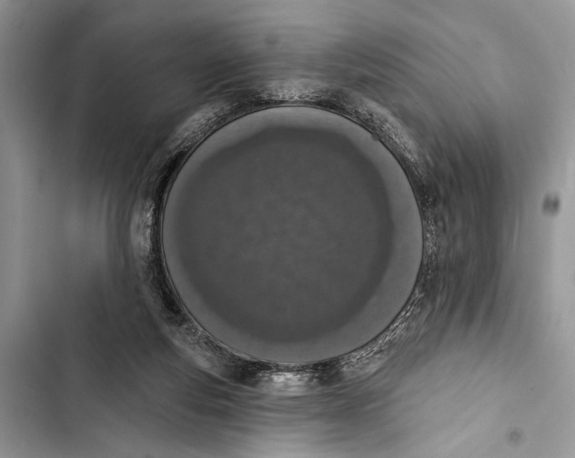 X0000103470163200810031528