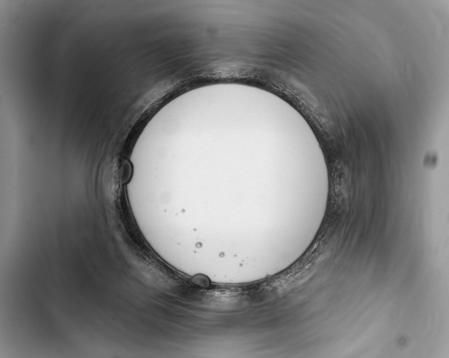 X0000103470164200810031528