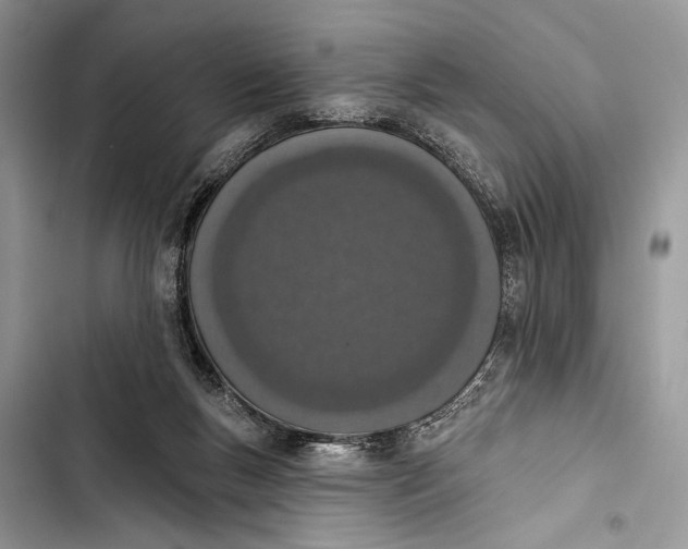X0000103470167200810031528