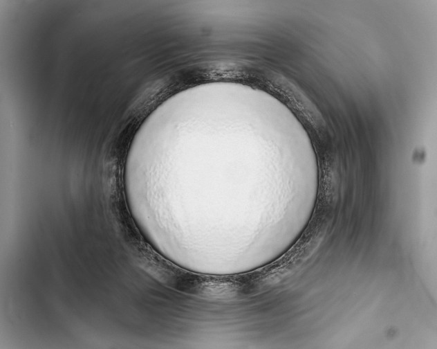 X0000103470169200810031528