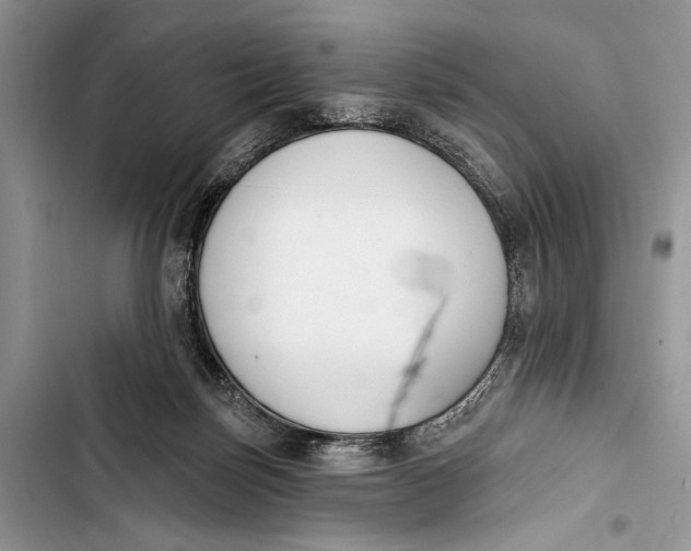 X0000103470171200810031528