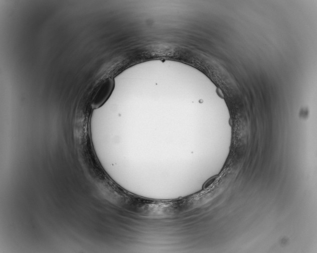 X0000103470172200810031528