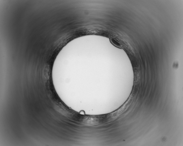 X0000103470174200810031528