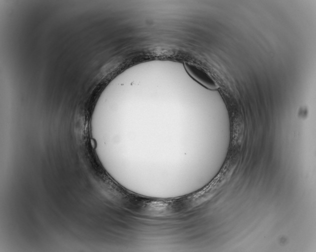 X0000103470176200810031528
