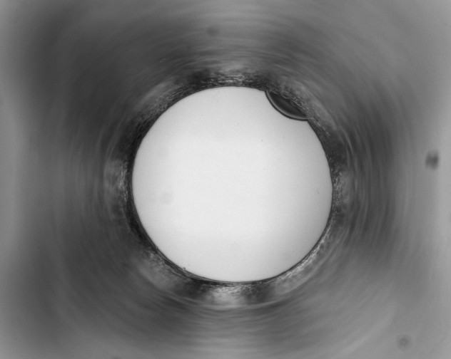 X0000103470178200810031528