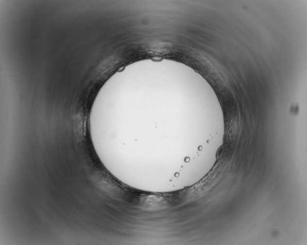 X0000103470180200810031528