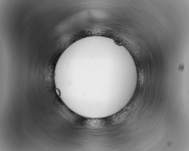 X0000103470181200810031528