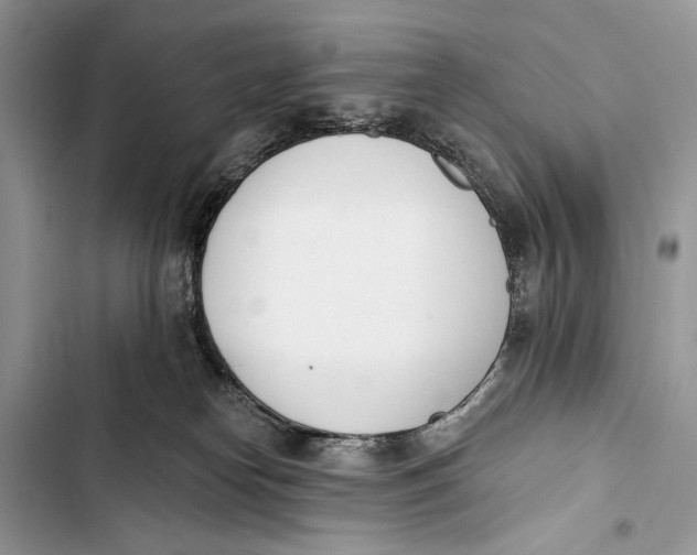 X0000103470182200810031528