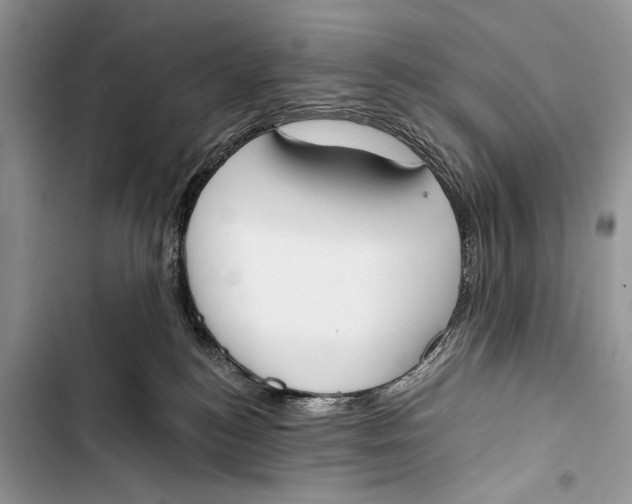 X0000103470184200810031528