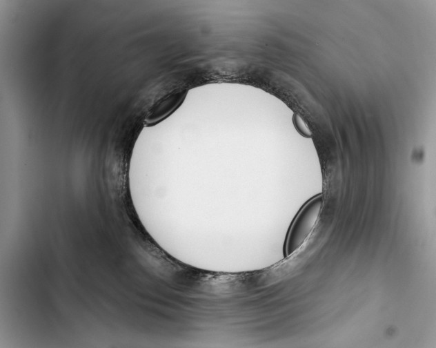 X0000103470186200810031528