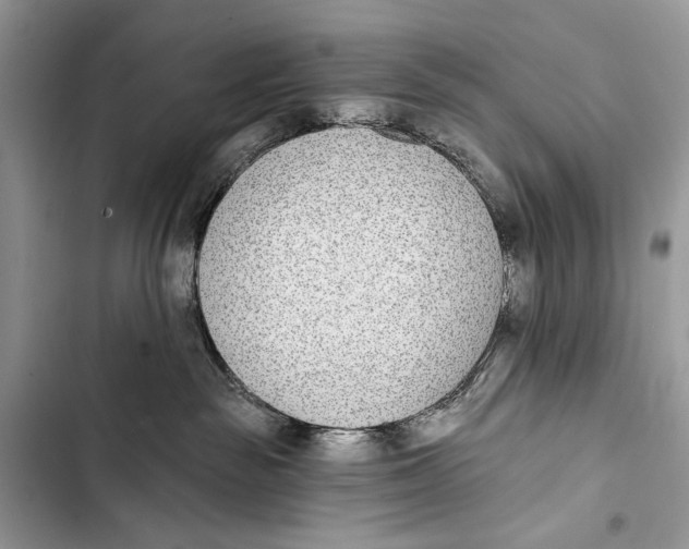X0000103470189200810031528