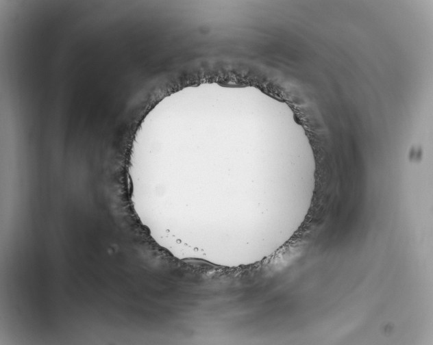 X0000103470192200810031528