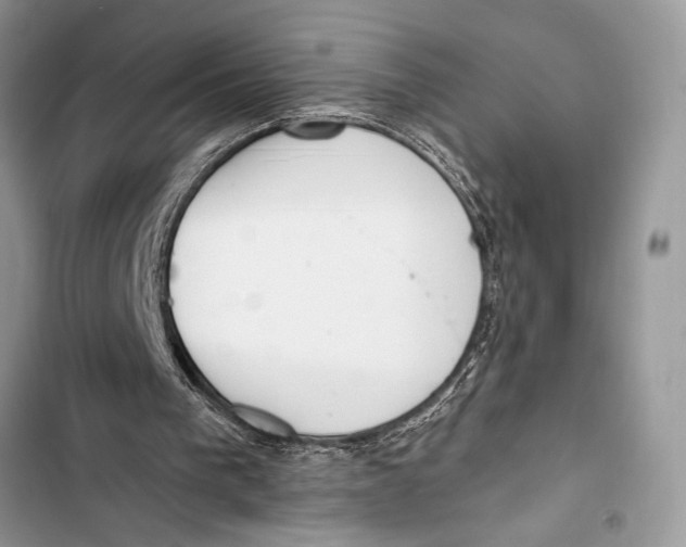 X0000103470193200810031528
