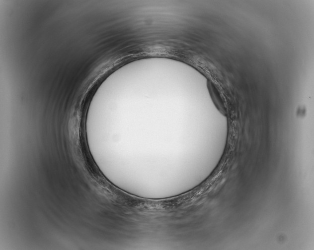 X0000103470194200810031528