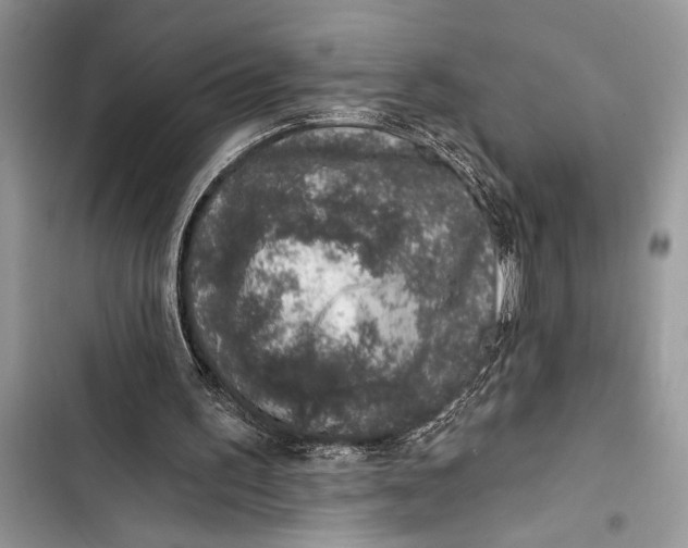 X0000103470195200810031528