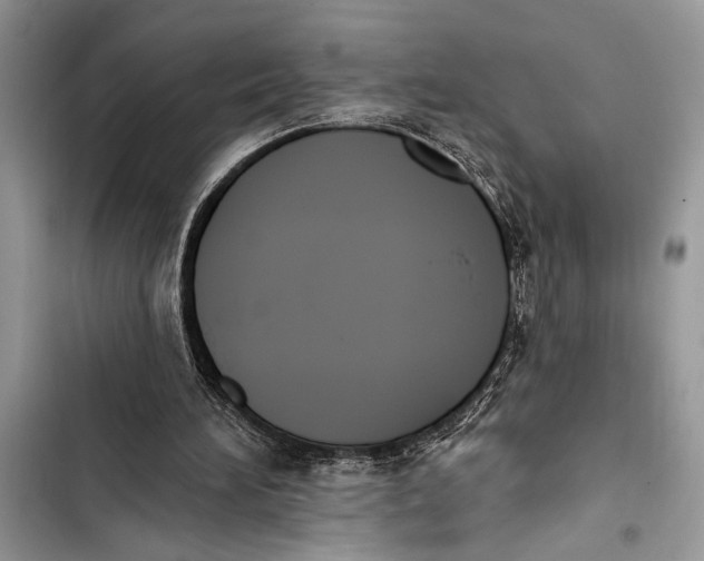 X0000103470196200810031528
