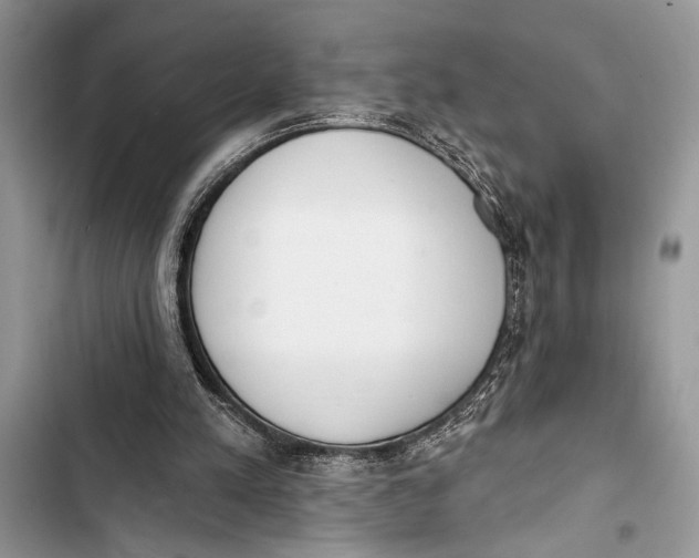 X0000103470197200810031528