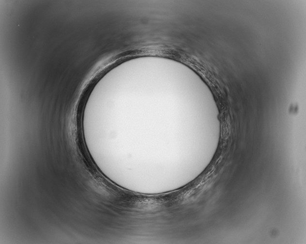 X0000103470198200810031528